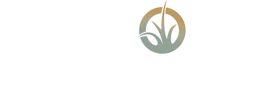 Meadows at Nicholson